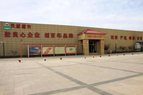 豆黄金食品 以六个国内第一引领健康旅游业务创新